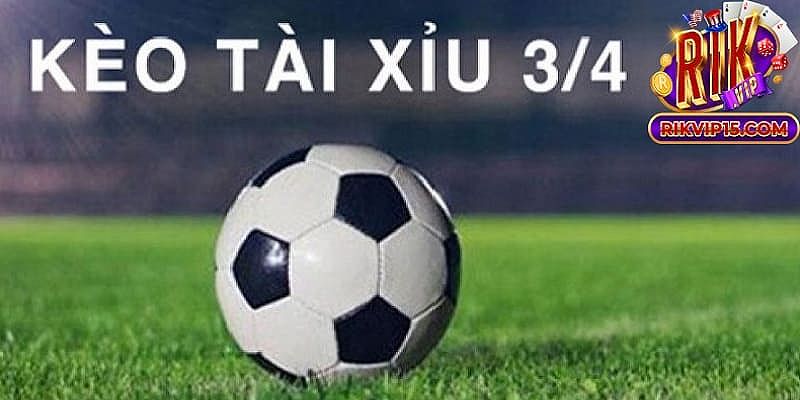 Cách cược tài xỉu 2.5 3