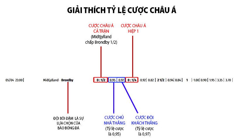 Giải thích tỷ lệ cược Châu Á với các biểu đồ và thông tin chi tiết.