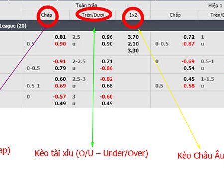 Hướng Dẫn Chi Tiết Cách Đọc Kèo Bóng Đá Tài Xỉu