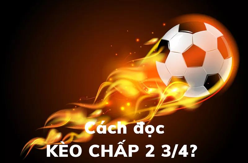 Kèo chấp 2 3/4 - mẹo cược kèo 2.75 trái mang chiến thắng lớn 5