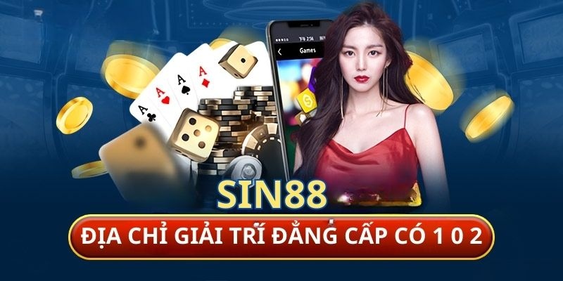 Tổng Quan Về SIN88