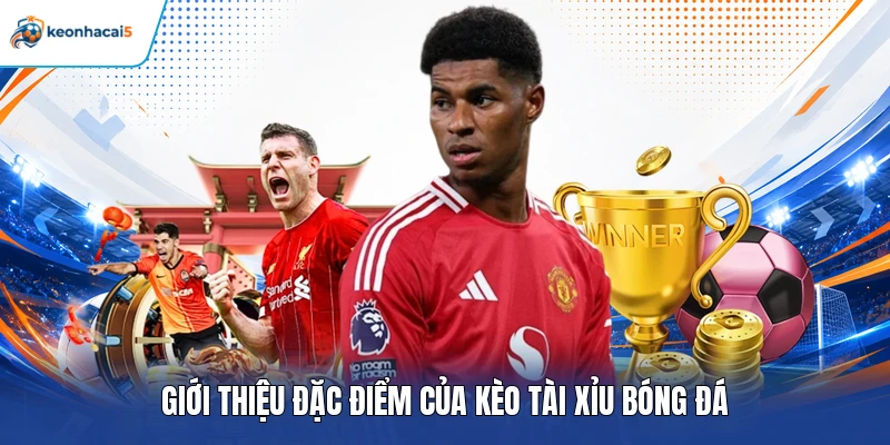 Giới thiệu đặc điểm của kèo tài xỉu bóng đá