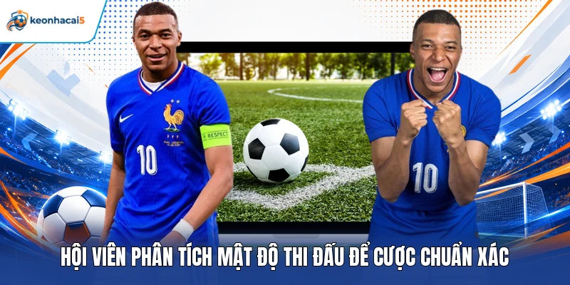 Hội viên phân tích mật độ thi đấu để cược chuẩn xác